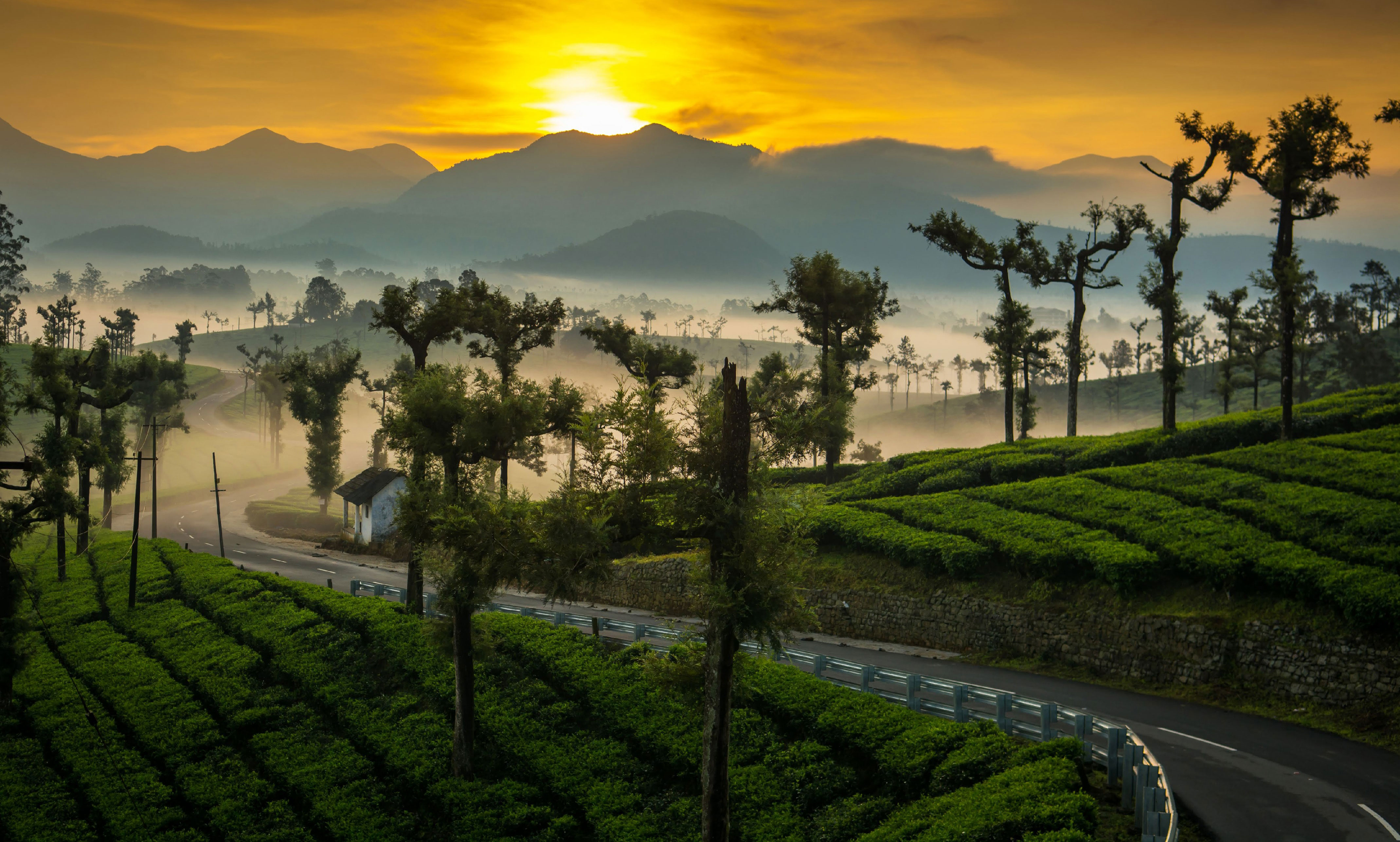 Tamil Nadu Hill Stations