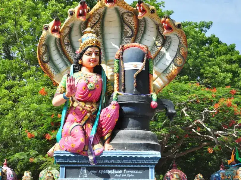 Pettai Amman Temple