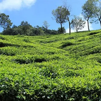 Coonoor Hill Station - Tamilnadu