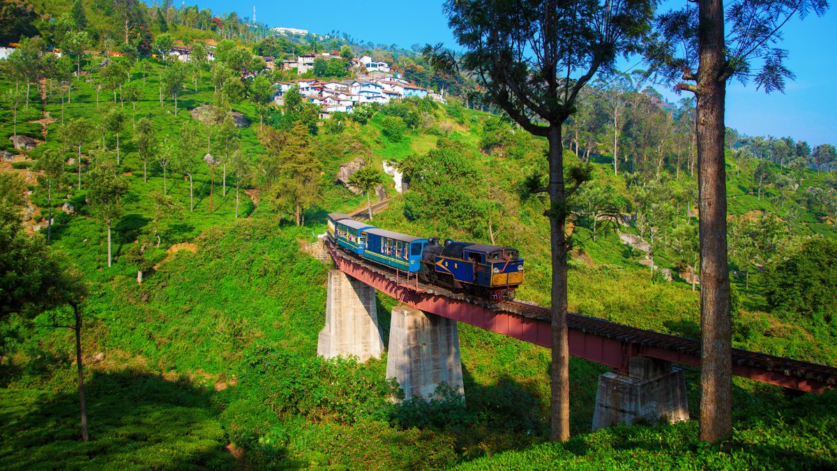 Tamil Nadu Hill Station Tour Packages tour packages