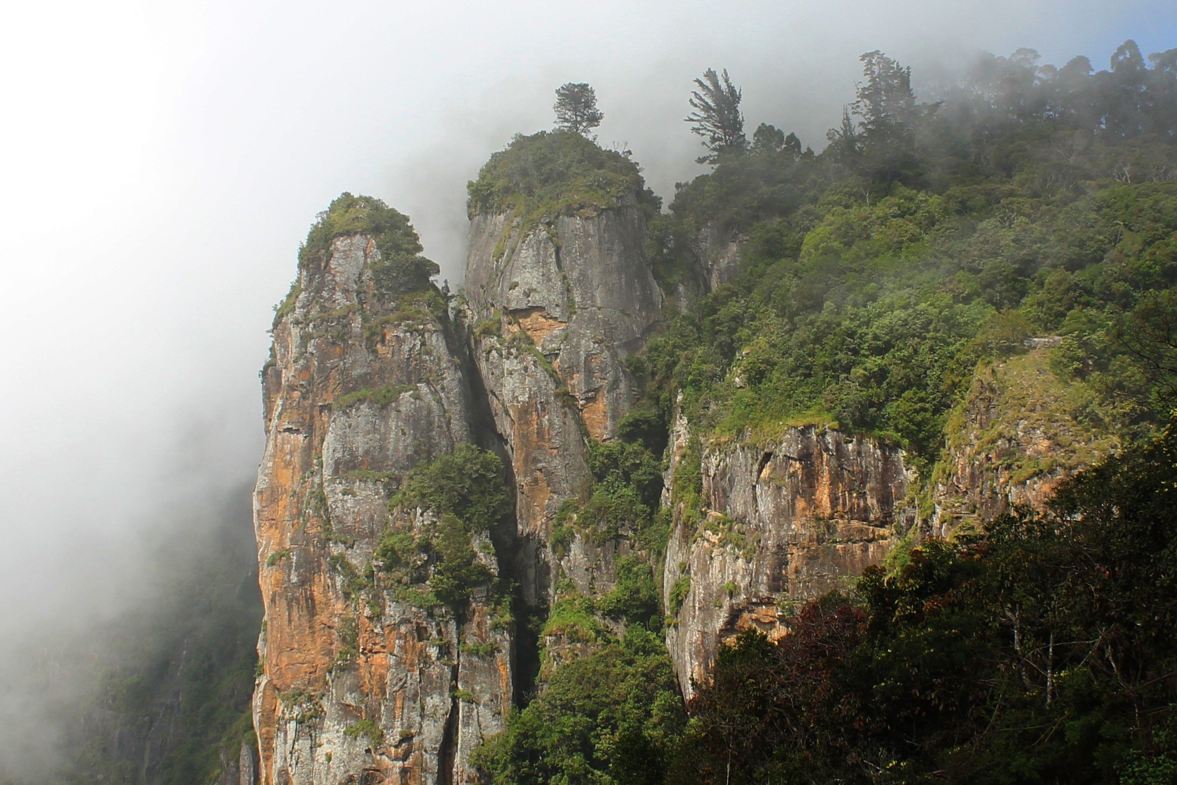 Dindigul - Trekking in Kodaikanal