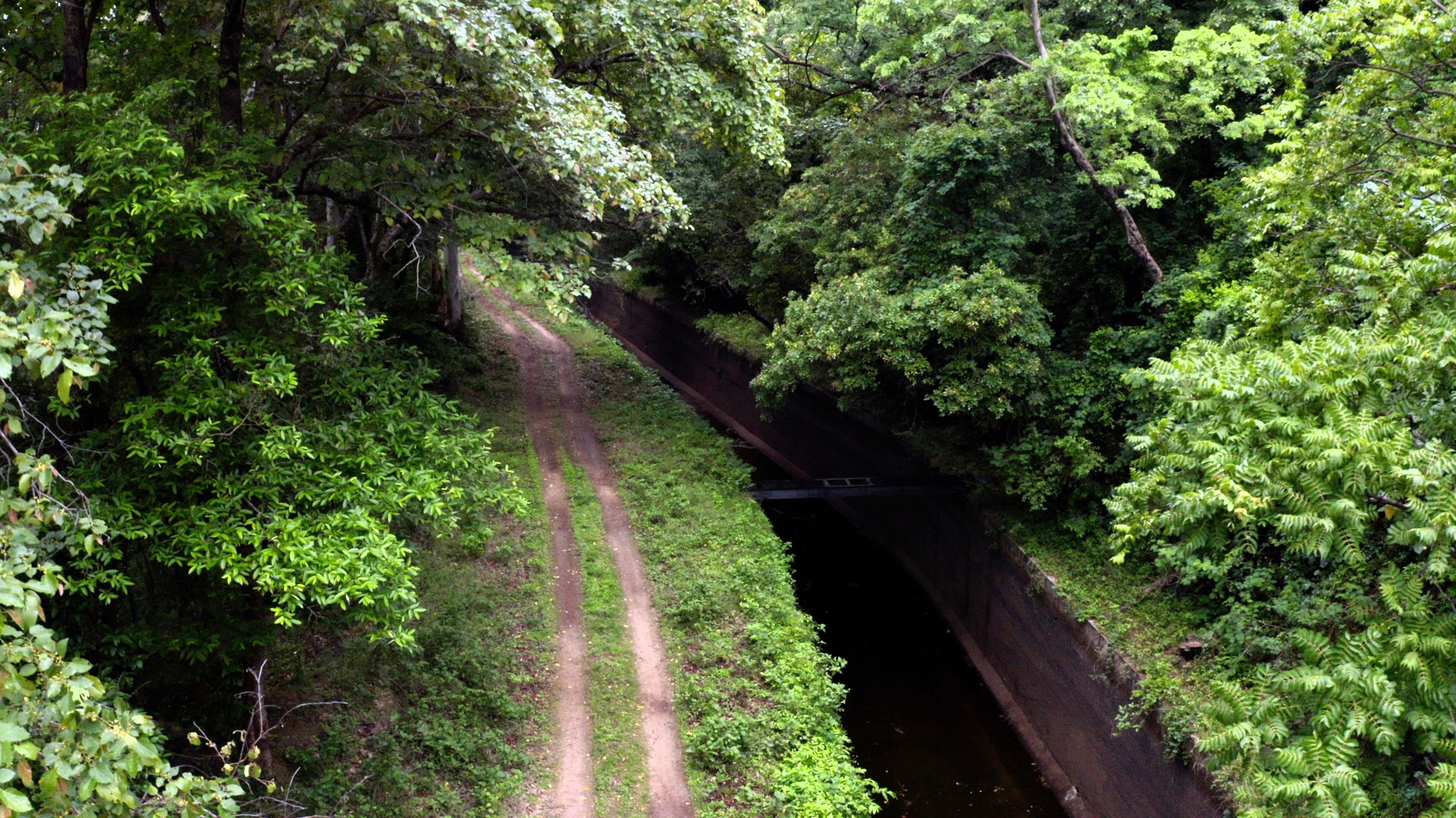 Aliyar (Canal Bank) Trek – Coimbatore